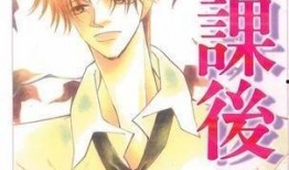 放课后2在线观看,续写青春传奇，在线观看新篇章